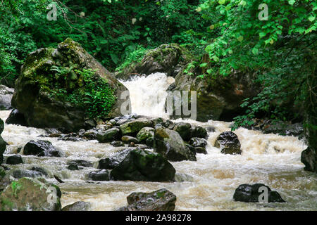 Torrente d'acqua fangoso che scorre attraverso il letto del fiume dopo la pioggia. Alberi, grandi rocce e ambiente umido tipico della regione del Mar Nero. Sumela, Trabzon. Foto Stock