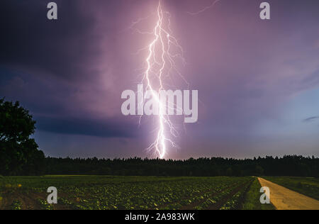 Drammatica fulmine durante la notte su area rurale. Agricoltura i campi. Foto Stock