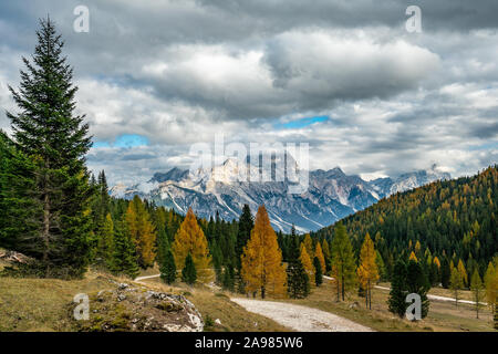 Colori d'autunno panorama delle Dolomiti italiane vicino a Cortina d'Ampezzo con giallo larici in primo piano e il Monte Faloria in backg Foto Stock
