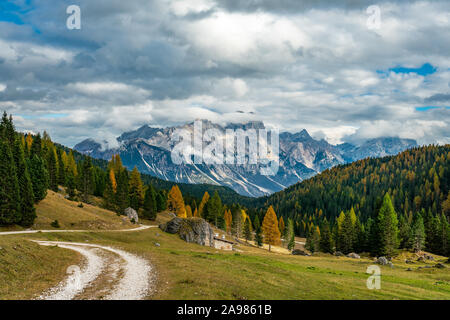Colori d'autunno panorama delle Dolomiti italiane vicino a Cortina d'Ampezzo con giallo larici in primo piano e il Monte Faloria in backg Foto Stock