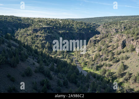 La Donner e Blitzen fiume che scorre attraverso un canyon in Eastern Oregon. Foto Stock