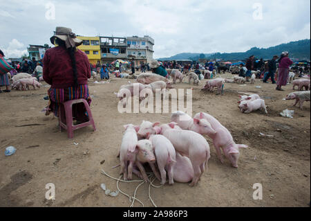 Mercato di animali a San Francisco El Alto in Totonicapan, Guatemala. Foto Stock
