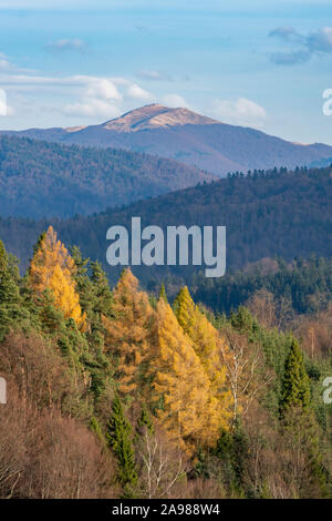 Vista del picco Smerek sulle montagne Bieszczady. Carpazi orientali, Polonia. Foto Stock