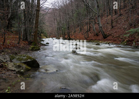 Solinka fiume nei monti Bieszczady. Carpazi orientali, Polonia. Foto Stock