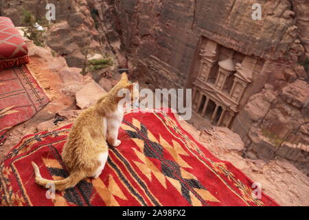 Treasury Viewpoint, Petra, Wadi Musa, Governatorato Ma'an, Giordania, Medio Oriente Foto Stock