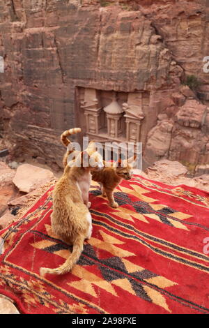 Treasury Viewpoint, Petra, Wadi Musa, Governatorato Ma'an, Giordania, Medio Oriente Foto Stock
