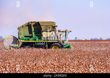 Nov 10, 2019 Merced / CA / STATI UNITI D'America - John Deer CP690 'Spindle' raccoglitrice di cotone tipo macchina lavora su un campo in California centrale Foto Stock