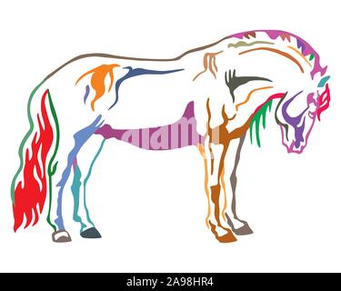 Decorativo colorato ritratto di cavallo in piedi nel profilo esterno del cavallo. Vettore illustrazione isolato in diversi colori su sfondo bianco. Immagine Illustrazione Vettoriale