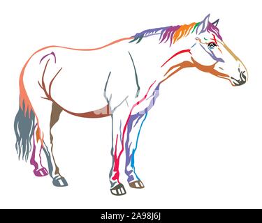 Decorativo colorato ritratto di cavallo in piedi nel profilo esterno del cavallo. Vettore illustrazione isolato in diversi colori su sfondo bianco. Im Illustrazione Vettoriale