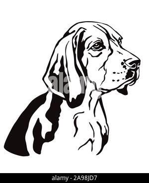 Decorativa profilo di contorno ritratto di cane Beagle cercando di profilo, illustrazione vettoriale in colore nero isolato su sfondo bianco. Immagine per desig Illustrazione Vettoriale