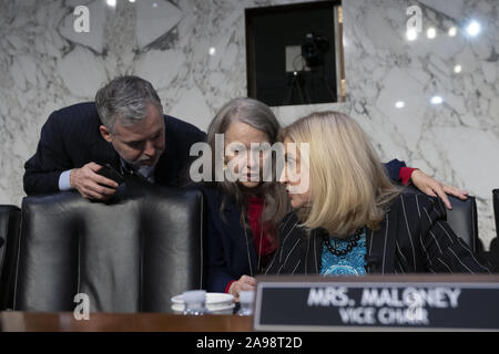 Washington, Distretto di Columbia, Stati Uniti d'America. Xiii Nov, 2019. Rappresentante degli Stati Uniti Carolyn Maloney (Democratico di New York) arriva negli Stati Uniti Congresso comitato economico misto audizione con ChairÂ consiglio dei governatori della Federal Reserve System Jerome Powell al Campidoglio di Washington, DC, Stati Uniti, Mercoledì, Novembre 13, 2019. Credito: Stefani Reynolds/CNP/ZUMA filo/Alamy Live News Foto Stock