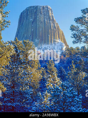 Devils Tower e la neve fresca, Devils Tower National Monument, Wyoming Western Black Hills Foto Stock