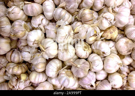 Molte teste allentati del bianco aglio viola in vendita. Bulbi di aglio come sfondo. Close up. Foto Stock
