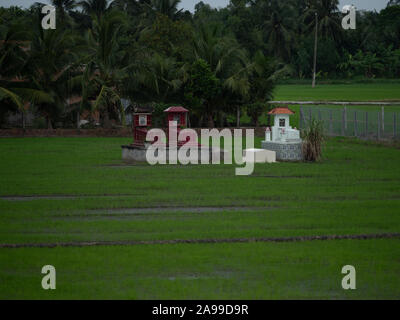 Al di sopra del suolo tombe sui terreni agricoli nel Vietnam del sud. Foto Stock