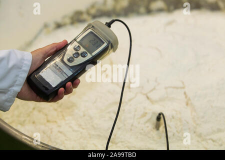 Lavoratore che misura la temperatura dell'impasto crudo Foto Stock