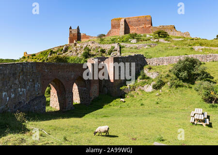 Hammershus, Burgruine, Bornholm Daenemark Foto Stock