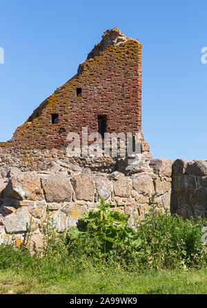 Hammershus, Burgruine, Bornholm Daenemark Foto Stock