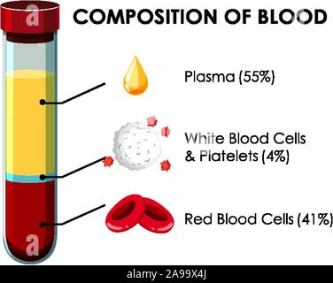 Diagramma che mostra la composizione di illustrazione del sangue Illustrazione Vettoriale