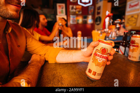 party amici bevendo birra ganzberg al bar o al pub Foto Stock