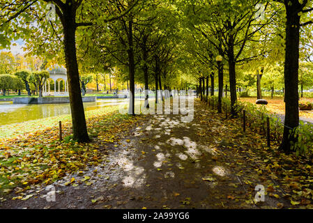 Il percorso nei pressi di Swan stagno con fontana e rotunda sull isola nel parco di Kadriorg, Tallinn, Estonia. In autunno, giornata soleggiata, golden caduta foglie. Macchie di luce sul Foto Stock