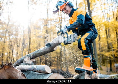 Lumberjack professionale in indumenti da lavoro protettiva lavora con una motosega nel bosco, segare una spessa log in legno Foto Stock