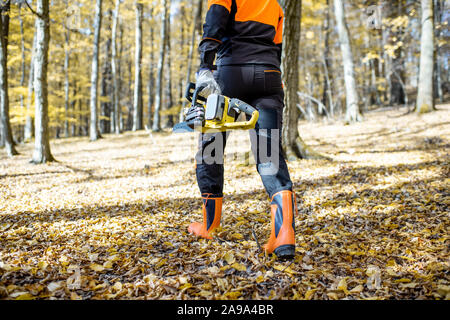 Lumberjack professionale in indumenti da lavoro protettiva a piedi con una motosega nel bosco, vista posteriore Foto Stock