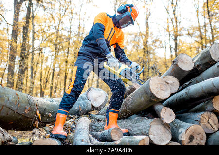 Lumberjack professionale in indumenti da lavoro protettiva lavora con una motosega nel bosco, segare tronchi di legno Foto Stock