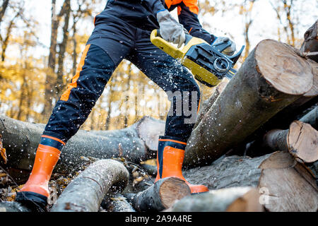 Lumberjack professionale in indumenti da lavoro protettiva lavora con una motosega nel bosco, segare tronchi di legno, vista da vicino con nessun volto Foto Stock