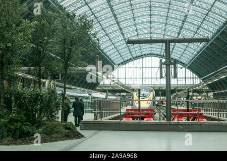 Saint Pancras, London, 14 novembre 2019. Saint Pancras International morsetto. Eurostar segna 25 anni poiché la rotaia azienda ha iniziato a treni passeggeri servizi da Londra attraverso il tunnel sotto la Manica a Parigi il percorso con un impegno ambientale di piantare un albero per ogni treno che essa opera. Credito: amer ghazzal/Alamy Live News Foto Stock