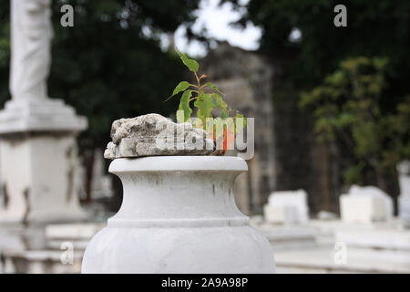 Cuba, La Habana, 11,15,2018, tombe e monumenti commemorativi in necropoli Cristobal Colon Americhe latine più grande cimitero Foto Stock