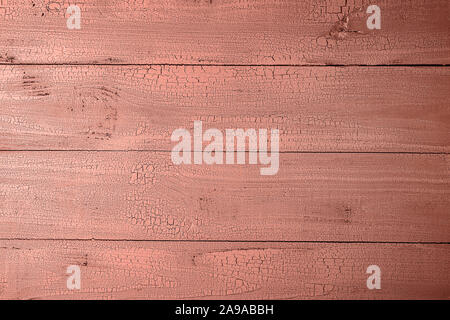 Altamente dettagliata alcuni vecchi naturale tavole di legno dipinta in rosa corallo con crepe. Texture di sfondo orizzontale con copia spazio. Vista da sopra. Foto Stock