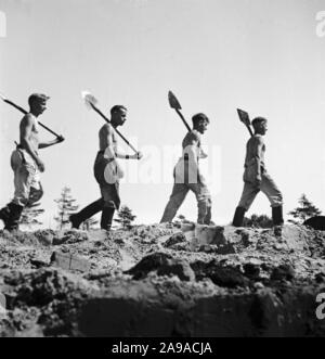 I lavoratori del Reichsarbeitsdienst in azione, Germania 1930s. Foto Stock