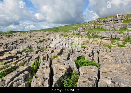Pavimentazione di pietra calcarea, Malham Cove, North Yorkshire Foto Stock