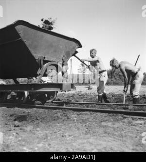 I lavoratori del Reichsarbeitsdienst in azione, Germania 1930s. Foto Stock