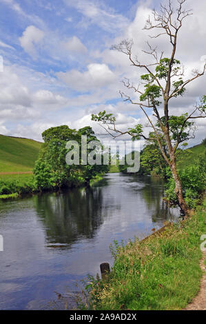 Fiume Wharfe, Burnsall, North Yorkshire Foto Stock