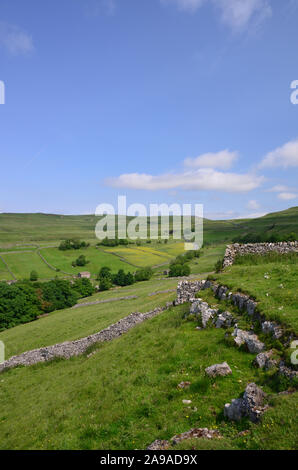 Cray e il Pass Kidstones, Superiore Wharfedale, North Yorkshire Foto Stock