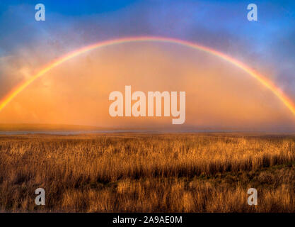 Arcobaleno sopra l'orizzonte Foto Stock