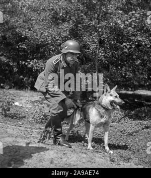 Un Wehrmacht (personale) sergente con il suo pastore tedesco cane, Germania 1930s. Foto Stock