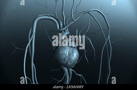Il cuore umano, cuore umano anatomia, arteria, arteria mostrato con una sezione tagliata, di alta qualità di rendering originale con texture e illuminazione globale Foto Stock