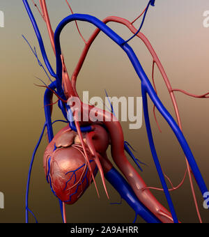 Il cuore umano, cuore umano anatomia, arteria, arteria mostrato con una sezione tagliata, di alta qualità di rendering originale con texture e illuminazione globale Foto Stock