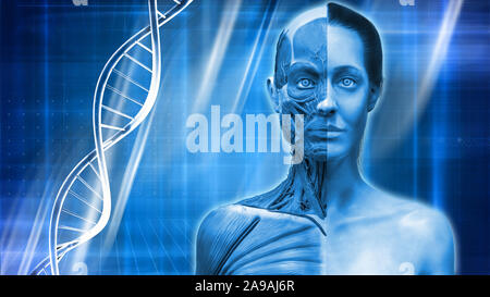 Abstract sullo sfondo di un corpo umano anatomia e dna , anatomia muscolare struttura in blu sullo sfondo medicale dna , anatomia umana modello 3D render Foto Stock