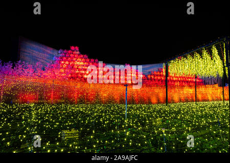 Vista di autunno a Nabana no Sato Flower Garden, illuminazione invernale 2020. Attrazioni di Nagoya. Foto Stock