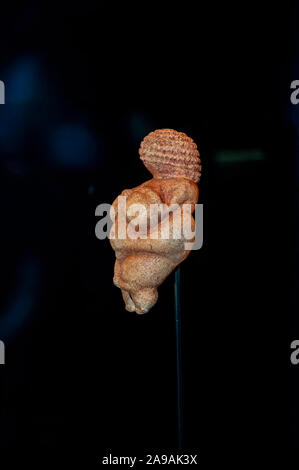 La Venere di Willendorf è un 11.1-centimetro-alto (4,4 in) Venere figurina stimati sono stati realizzati 30.000 A.C. È stato trovato il 7 agosto 1908 duri Foto Stock