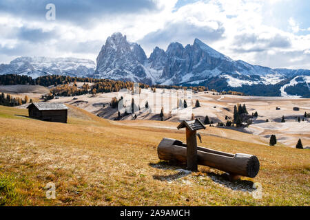 Bellissimo paesaggio autunnale Alpe di Siusi o Alpe di Siusi con Sassolungo - Sassolungo gruppo montuoso in background in Alpi Dolomitiche, Alto Adige, Italia. Foto Stock