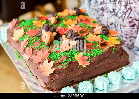 Torta di compleanno a tema hedgehog Foto Stock