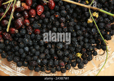Biancospino su legno tavolo rustico sfondo. Cinorroidi haw Frutti della rosa canina. Black chokeberry marmellate ai frutti di bosco . Foto Stock