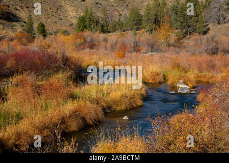 Sud forcella John giorno Wild e Scenic River, a sud Forcella John giorno River Paese indietro Byway, Oregon Foto Stock