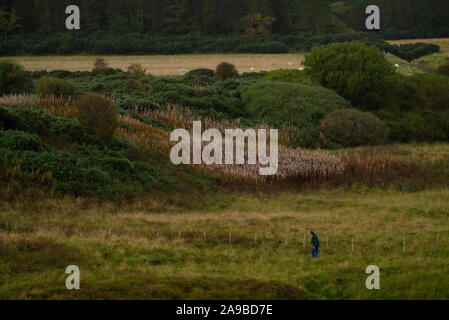 Coul Links Sutherland Scotland Regno Unito Foto Stock