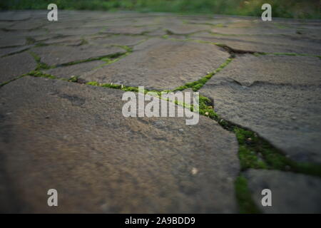 Stone road made of natural stone with green moss between the seams. Foto Stock