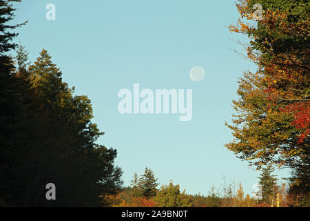 Luna piena vista sul cielo blu chiaro al mattino Foto Stock